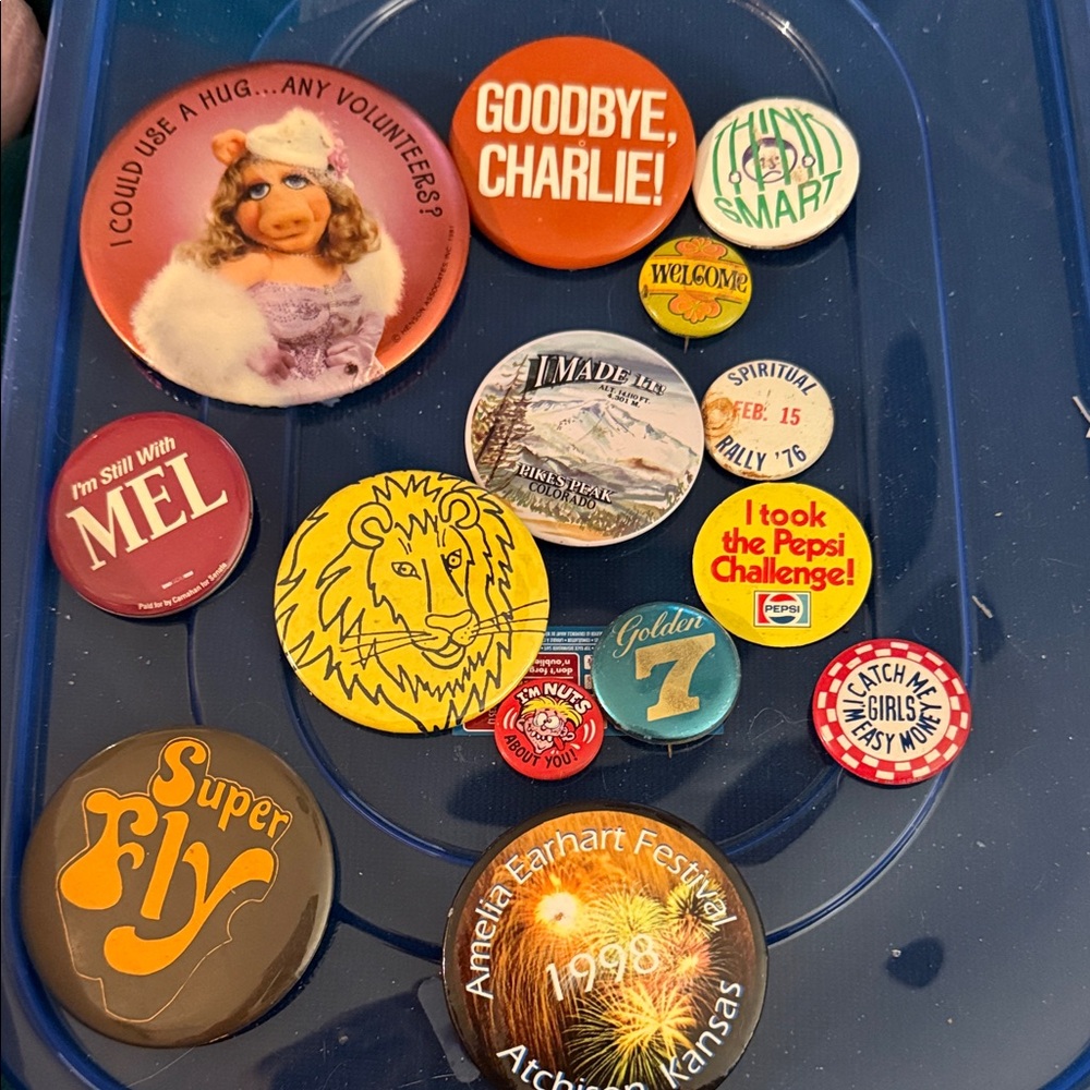 Vintage Button Pin Collection 14